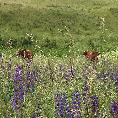 Wiatr W Kominie Dostep Do Jeziora Ublik * Konopki Wielkie